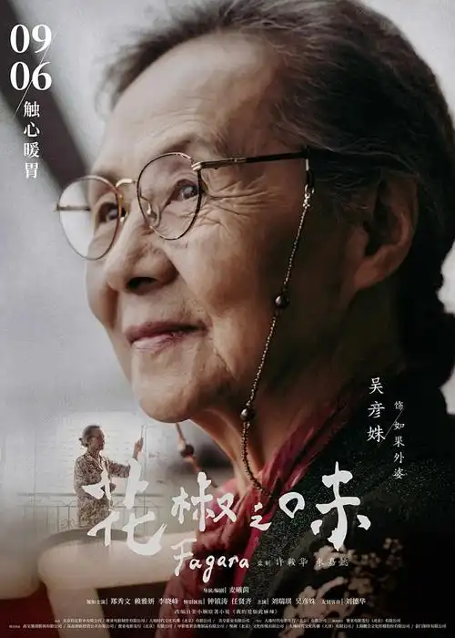 纸鸢计划校园青春动漫在线观看